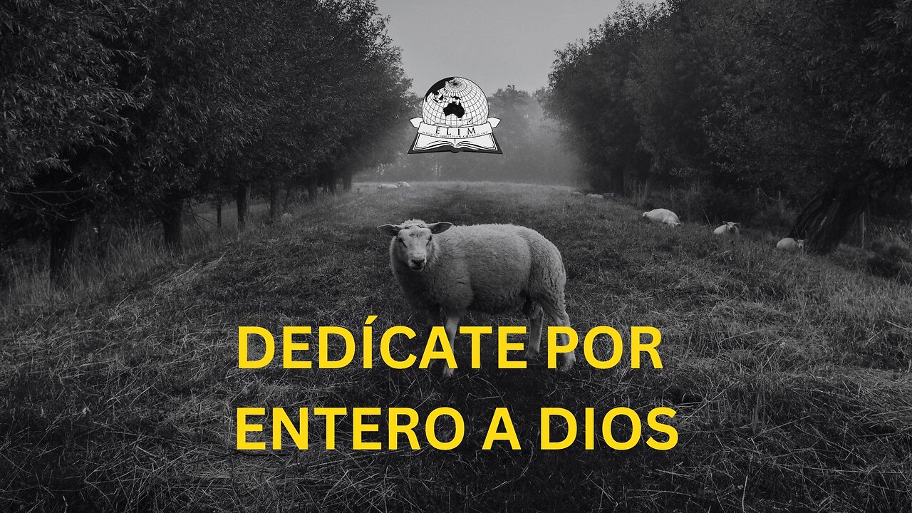 Dedícate por entero a Dios