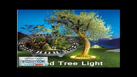 DC12V AC220V 48W Ring Landscape Garden Lights Tree Light Landscape Lighting Christmas Review