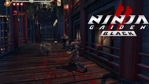 STEALTH DROP OF THE CENTURY! Ninja Gaiden 2 Black