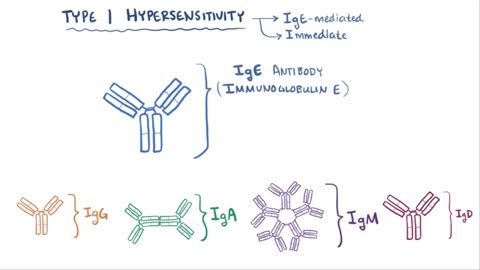 Type I hypersensitivity (IgE-mediated hypersensitivity) - causes, symptoms, pathology