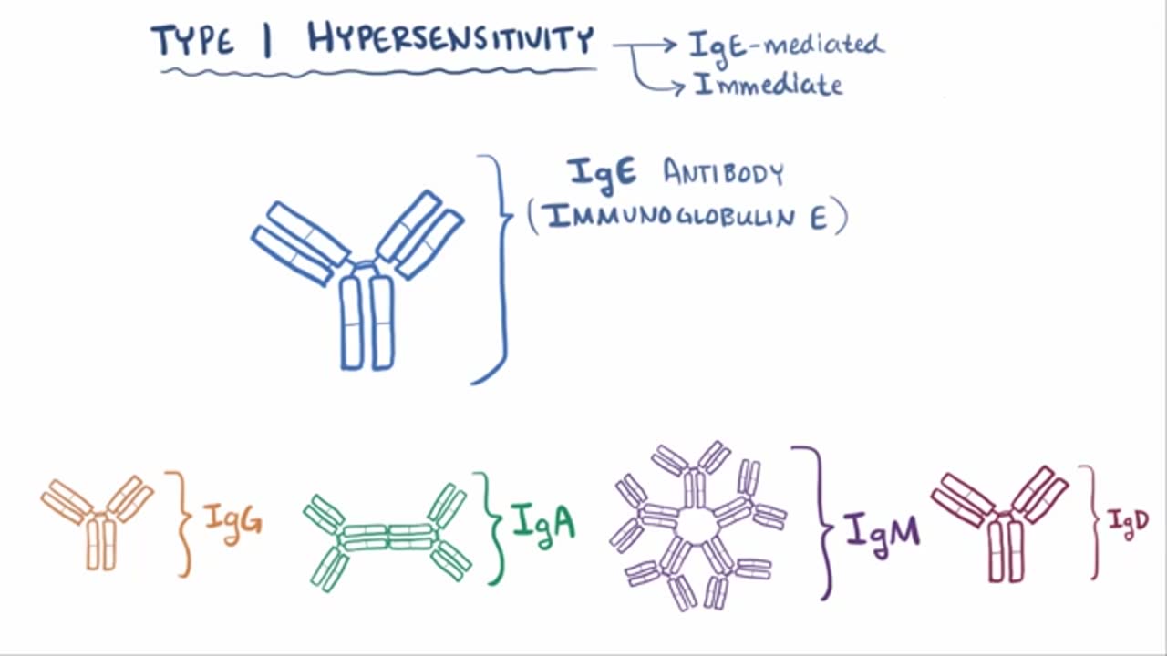 Type I hypersensitivity (IgE-mediated hypersensitivity) - causes, symptoms, pathology