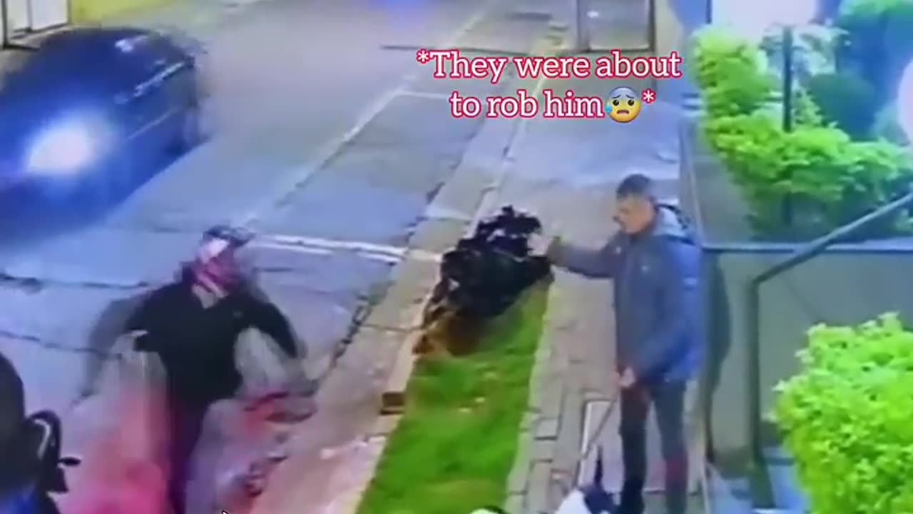 DOG SAVE FOR LIVE FATHER