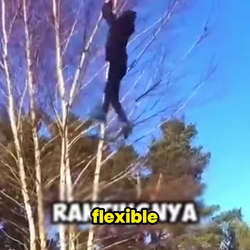 The Tree That Won’t Break! Unbelievable Flexibility!