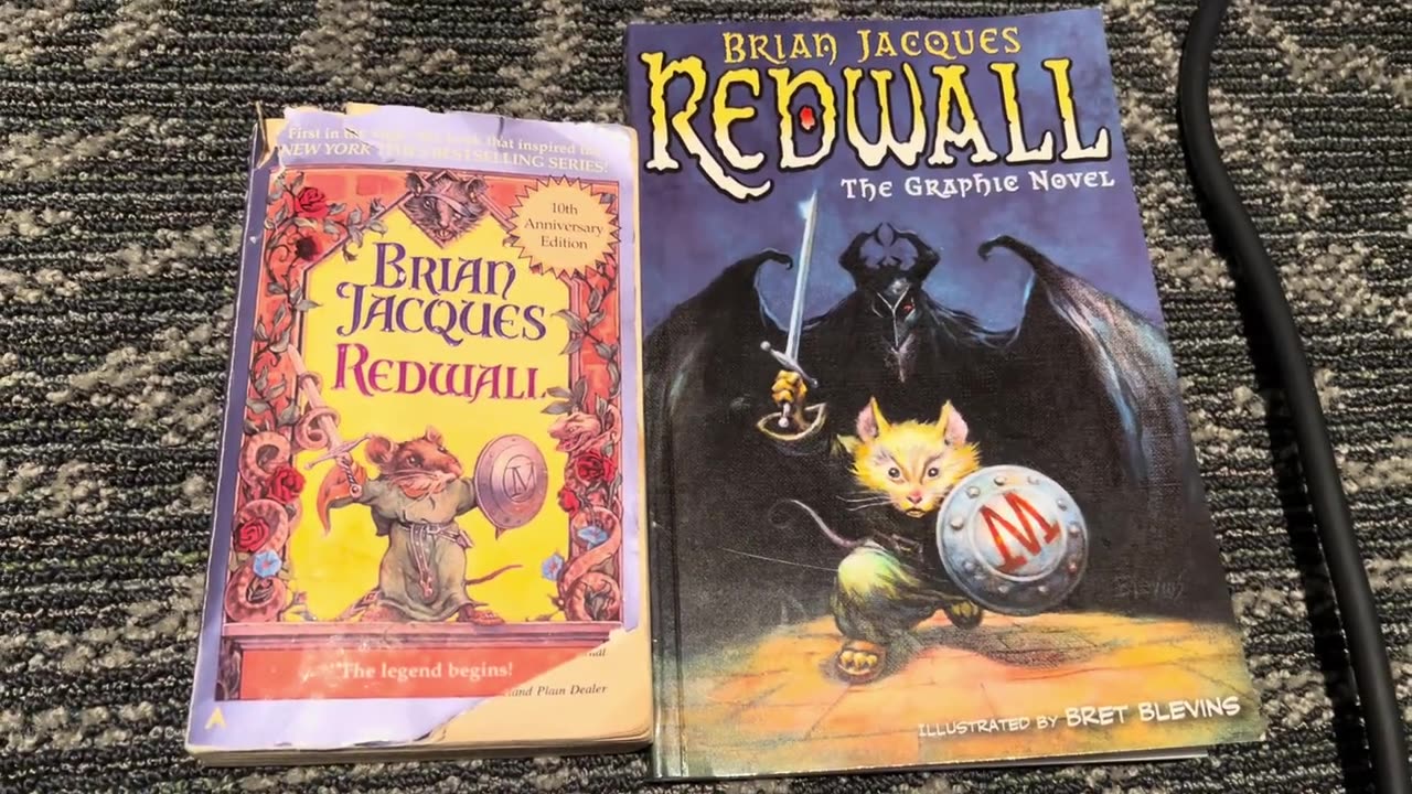 POV You Asked Your Spectrum-Enhanced Friend About Redwall