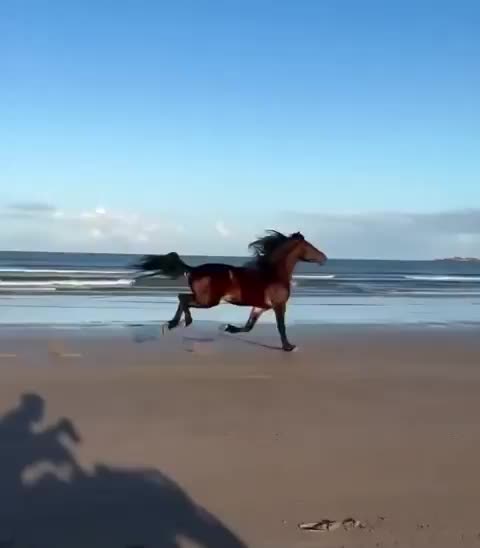 What is called freedom ...