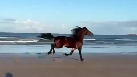 What is called freedom ...