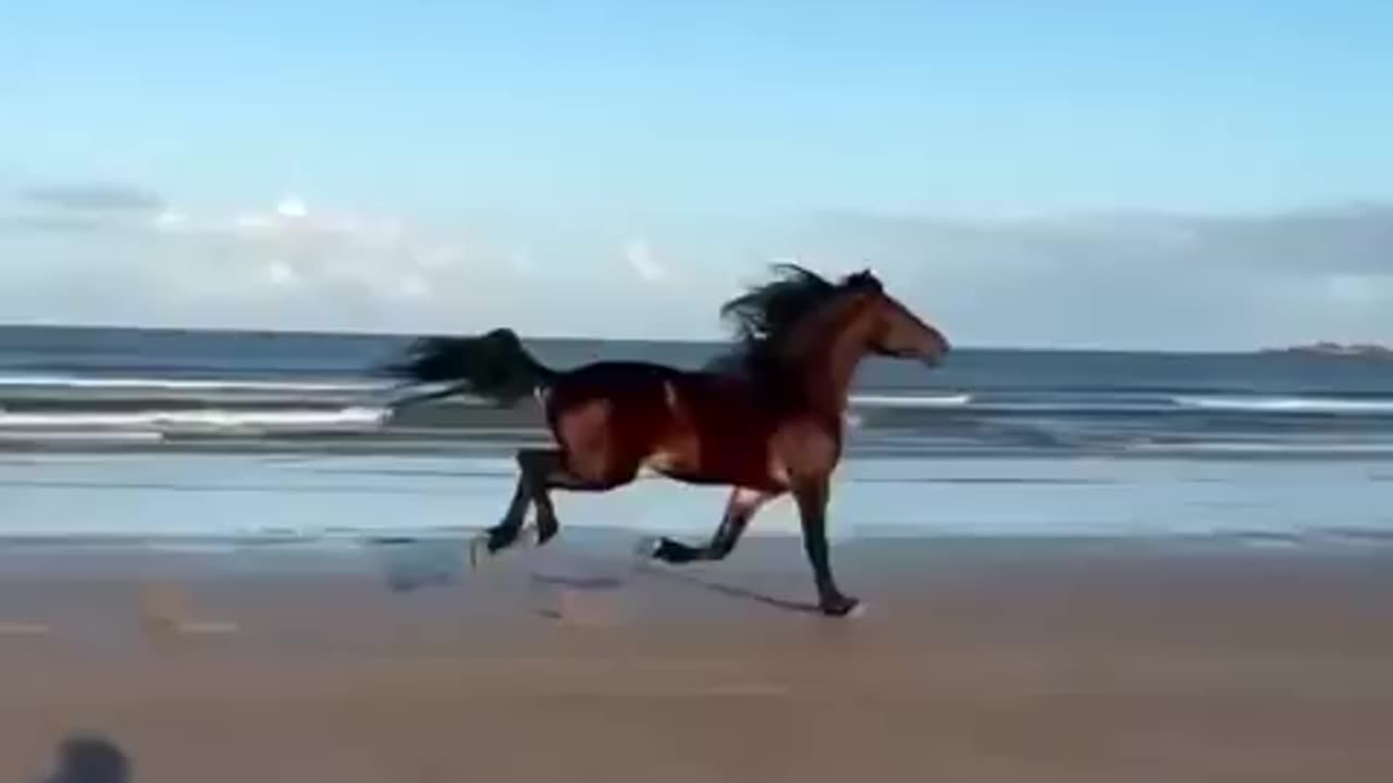 What is called freedom ...