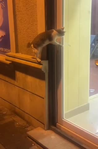 Uninvited guests 🤣