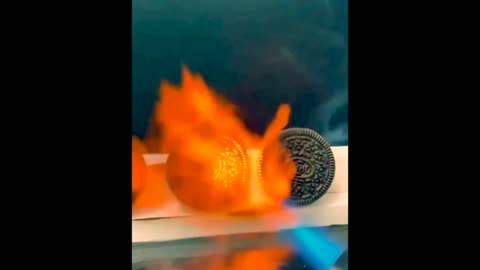Can Oreos Survive a FIRE TEST? 🔥🍪