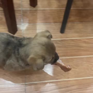 My Neighbor Keeps Stealing from Me