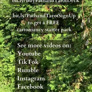 Shift In Perspective | Path and Tarot Reading