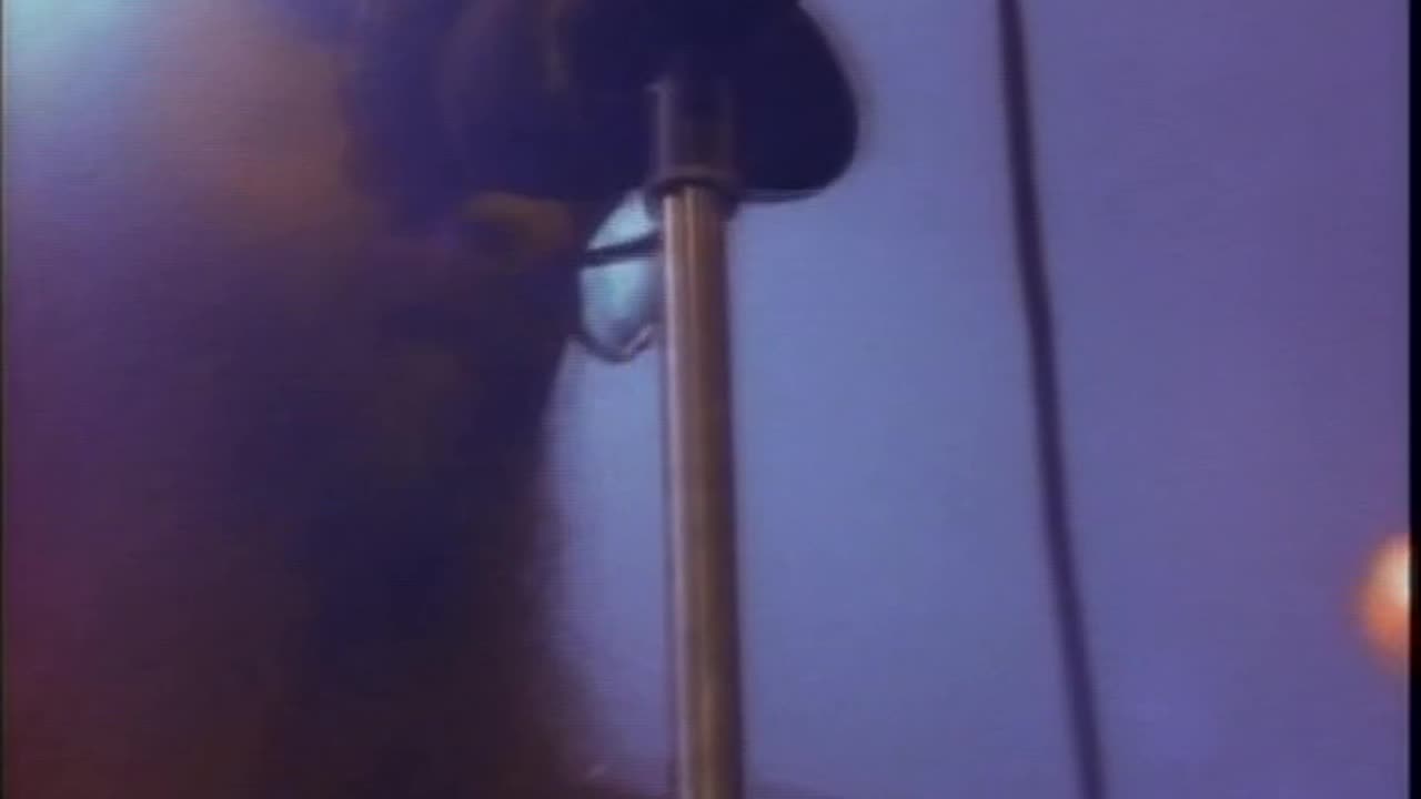 ZZ Top - Stages = 1986