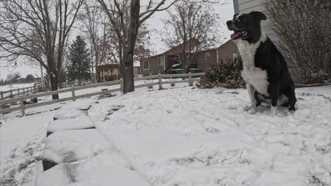 Teton Snow Play