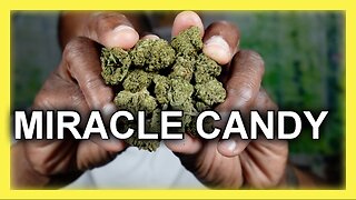 Miracle Candy THCA | DR GANJA