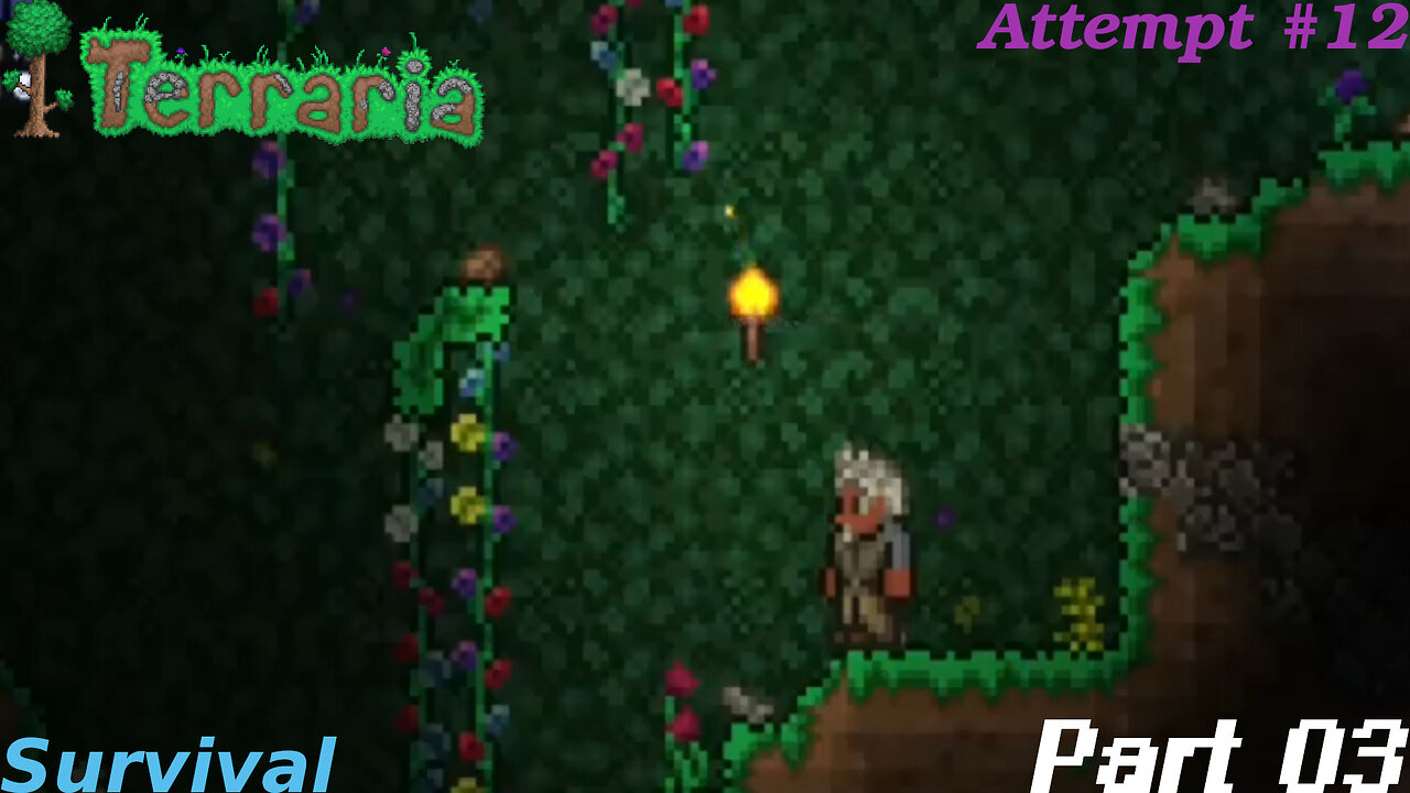 Terraria Playthrough #12 Part 3
