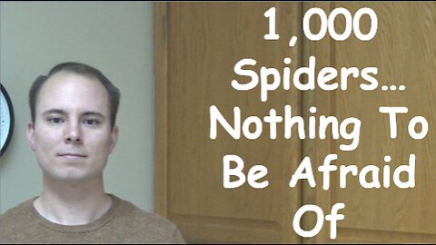 1,000 Spiders…Nothing To Be Afraid Of