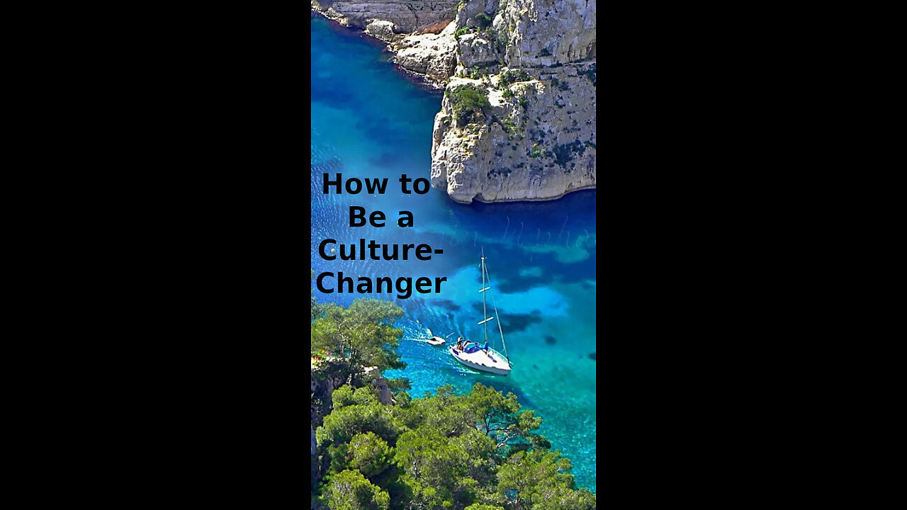 Steve B. 💜 265 ~ How to Be a Culture-Changer