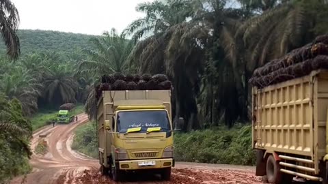 It's scary and scary as trucks go through uphill and muddy roads