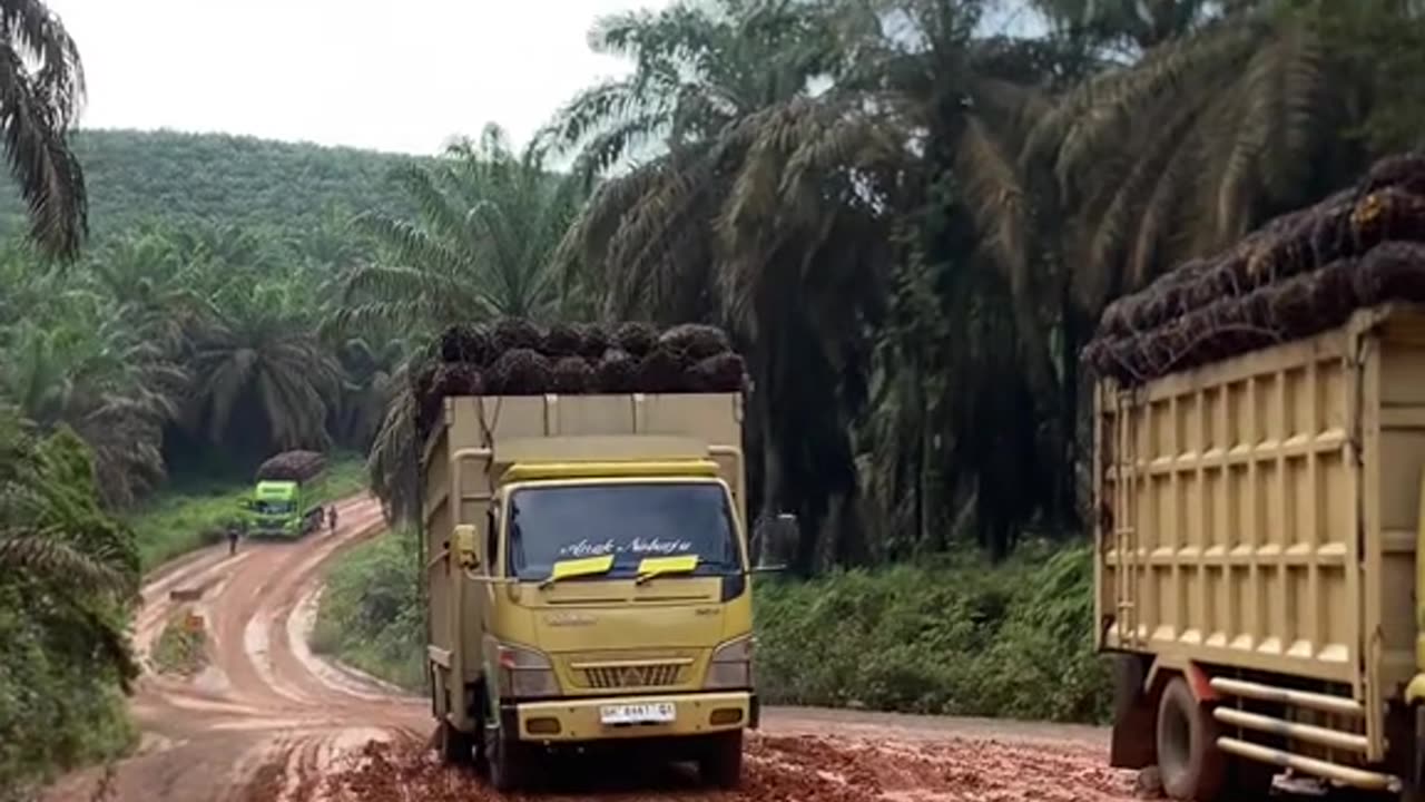 It's scary and scary as trucks go through uphill and muddy roads