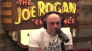 Joe Rogan and Lex Fridman try to figure out how many kids Elon Musk *actually* has (allegedly!)