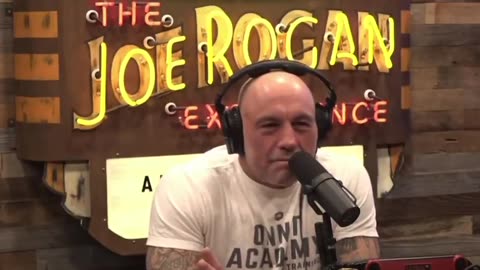 Joe Rogan and Lex Fridman try to figure out how many kids Elon Musk *actually* has (allegedly!)