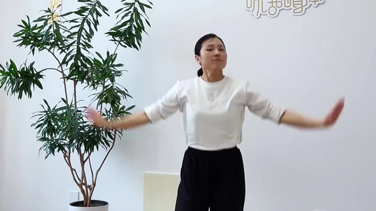 599.大雁飛通全身