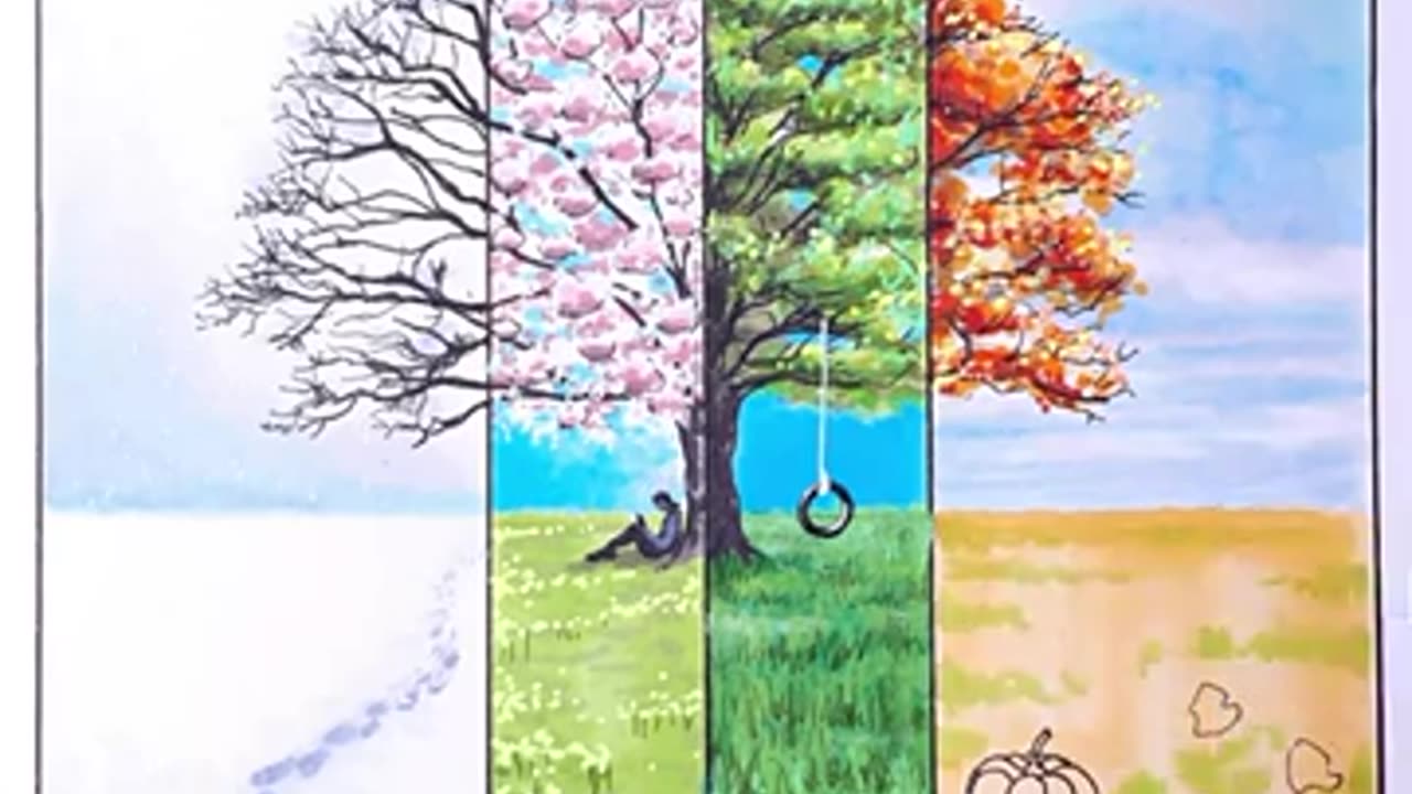 How to Draw - Tree Seasons & 3D Illusions - Easy Trick Art