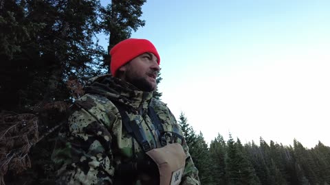 Wyoming Bull Elk Hunt!