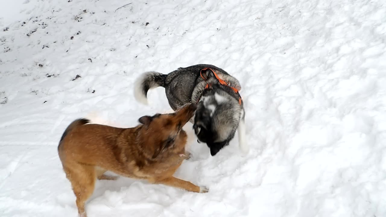 Play time , take a short break from your daily videos