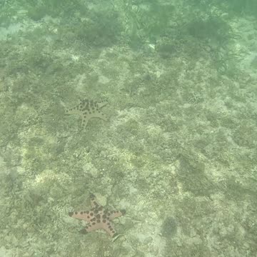 Any Day Snorkeling Is A Good Day!!