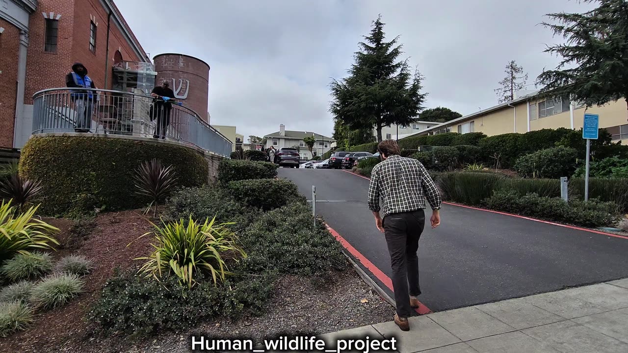 Secrets of the Synagogue