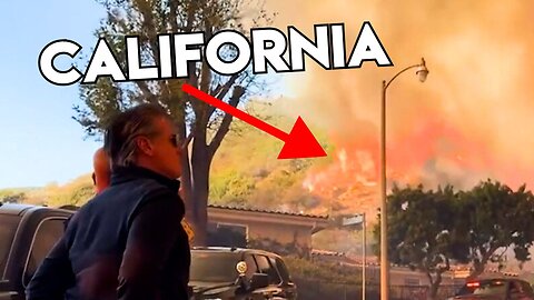 FLASHBACK: Trump WARNED California Governor About Forest Fires