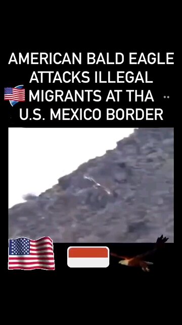 * Warning * Sorry About The Language