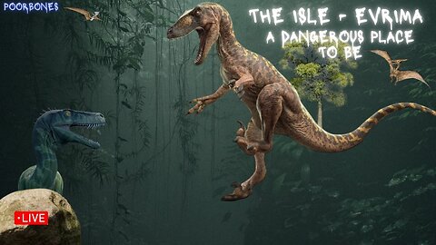 👣The Isle Evrima - game play, Tree hogger, Friday chilling no stress 🦖