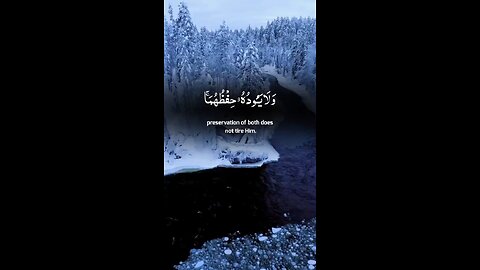 Qurantiweit tiweit Quran videos