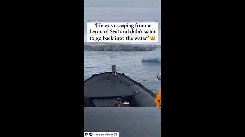 Original content by @miss.sarahjane.83 Instagram, 1-2-24