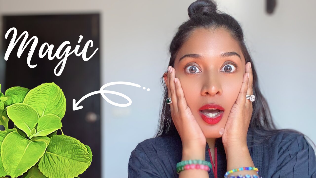 Cuban Oregano Benefits for Skin & Health