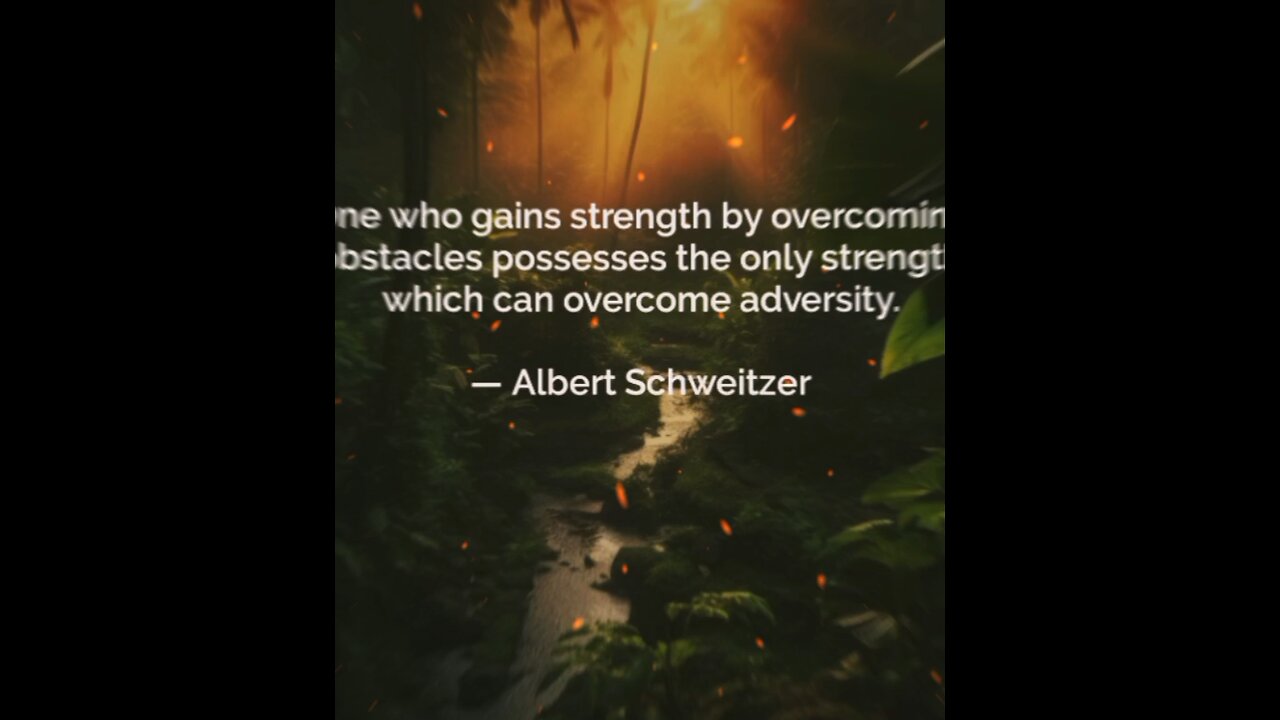 Your Qoute For A Day 281