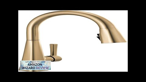 Delta Faucet Lenta Gold Kitchen Faucets with Pull Down Sprayer Kitchen Sink Review