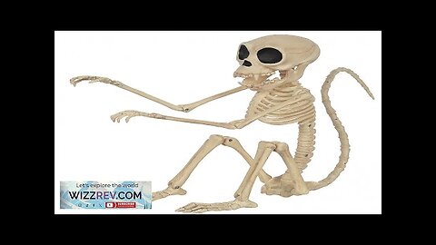 Monkey Skeleton Posable Prop Review