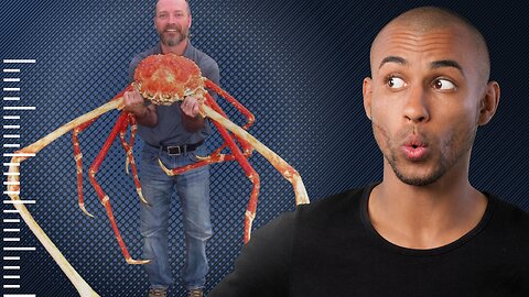 I Found the World's Largest Crab!