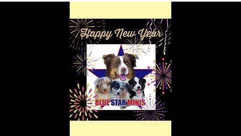 Wish You a Happy New Year's from Our Puppies!