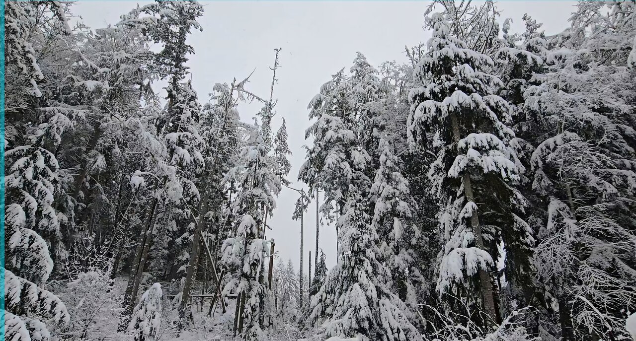 God's Country || National Forest || Not AI, Not Filtered