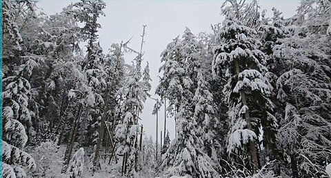 God's Country || National Forest || Not AI, Not Filtered