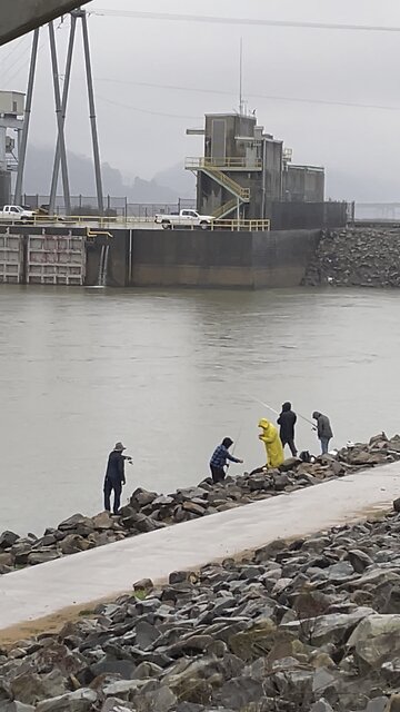 They’re Tearing It Up