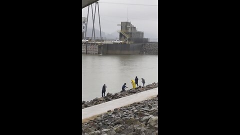 They’re Tearing It Up