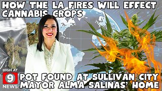 How The LA Fires Will Effect Cannabis Crops