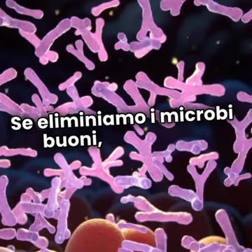Una casa troppo pulita fa male alla salute? Cosa ci Dice la Scienza?