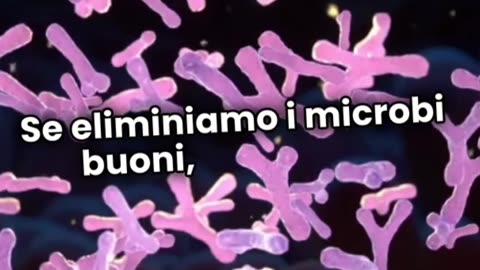 Una casa troppo pulita fa male alla salute? Cosa ci Dice la Scienza?