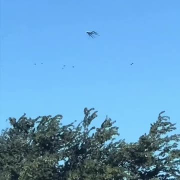 ⚠️ SOON EVERYTHING WILL START TO MAKE SENSE ⚠️